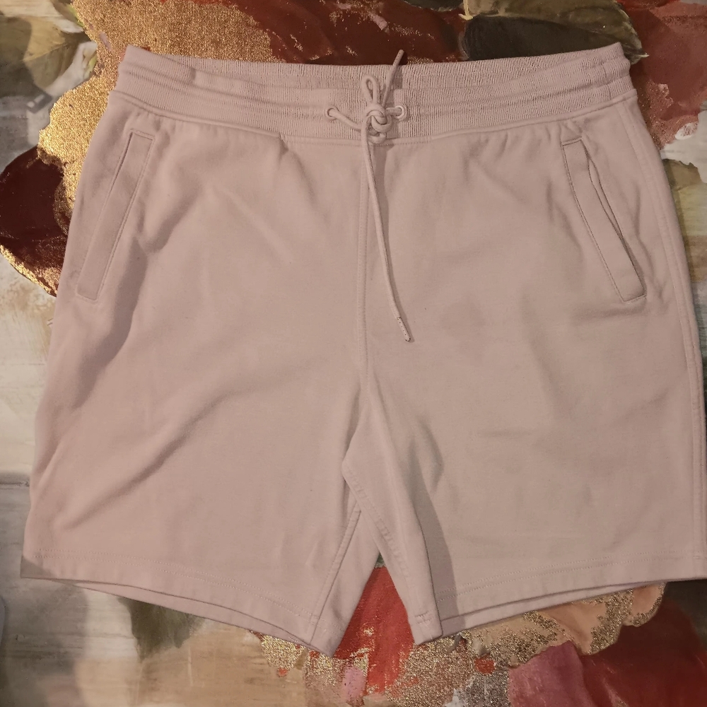Set Of 2 Express Tan Athletic Shorts Versatile Cotton Blend